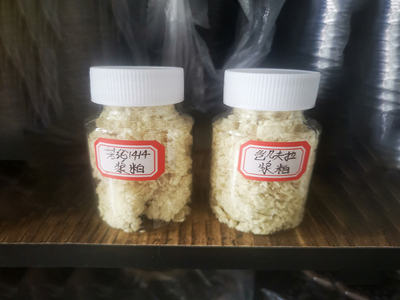 凯夫拉芳纶浆粕