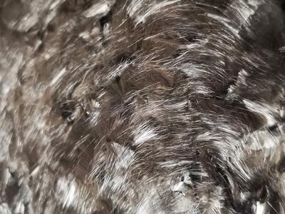 镀镍短切碳纤维 3mm、6mm、9mm 表面镍Ni处理 金属Ni包覆碳纤维 短丝